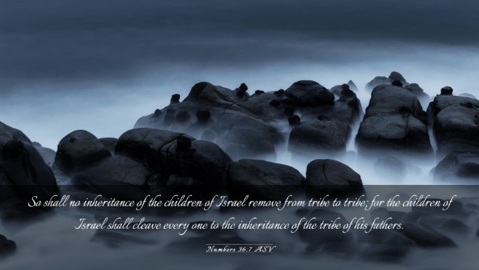 Picture 03 - Numbers 36:7 ASV Desktop Wallpaper - So shall no inheritance of the children of Israel - Desktop Bible Verse Wallpaper