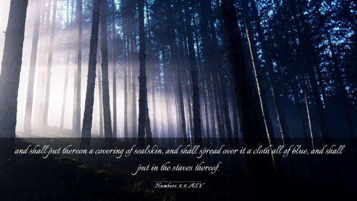 Picture 03 - Numbers 4:6 ASV Desktop Wallpaper - and shall put thereon a covering of sealskin, and - Desktop Bible Verse Wallpaper