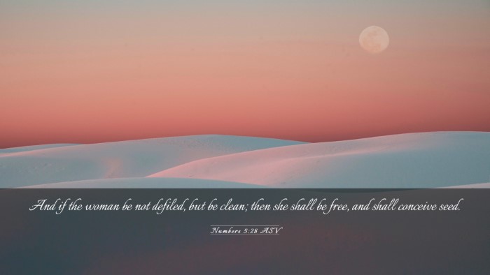 Picture 03 - Numbers 5:28 ASV Desktop Wallpaper - And if the woman be not defiled, but be clean; - Desktop Bible Verse Wallpaper