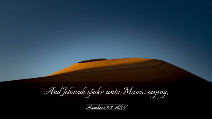 Picture 03 - Numbers 5:5 ASV Desktop Wallpaper - And Jehovah spake unto Moses, - Desktop Bible Verse Wallpaper
