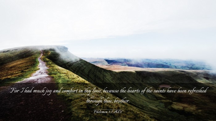Picture 03 - Philemon 1:7 ASV Desktop Wallpaper - For I had much joy and comfort in thy love, - Desktop Bible Verse Wallpaper