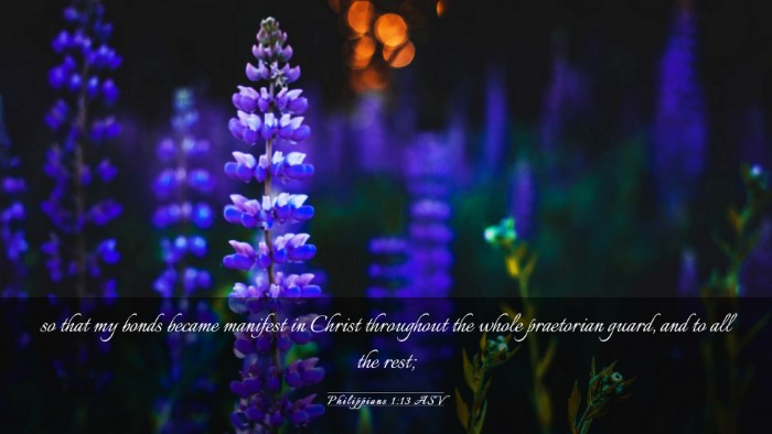 Picture 03 - Philippians 1:13 ASV Desktop Wallpaper - so that my bonds became manifest in Christ - Desktop Bible Verse Wallpaper