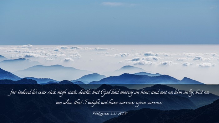 Picture 03 - Philippians 2:27 ASV Desktop Wallpaper - for indeed he was sick nigh unto death: but God - Desktop Bible Verse Wallpaper