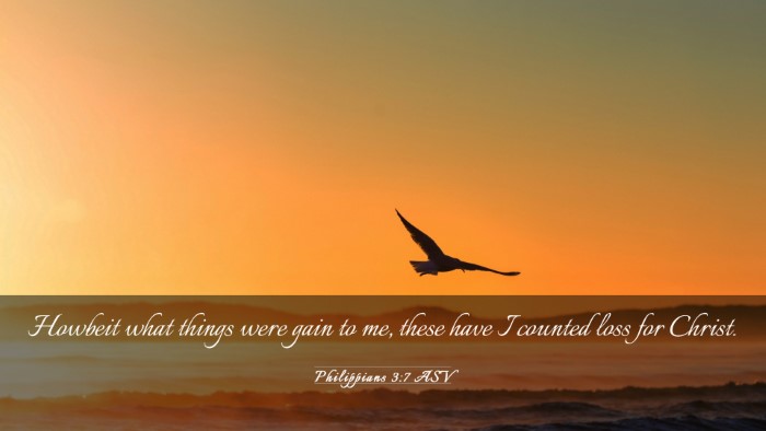 Picture 03 - Philippians 3:7 ASV Desktop Wallpaper - Howbeit what things were gain to me, these have I - Desktop Bible Verse Wallpaper