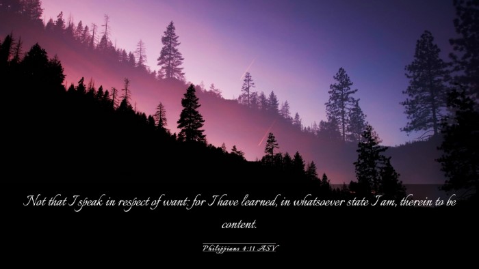 Picture 03 - Philippians 4:11 ASV Desktop Wallpaper - Not that I speak in respect of want: for I have - Desktop Bible Verse Wallpaper