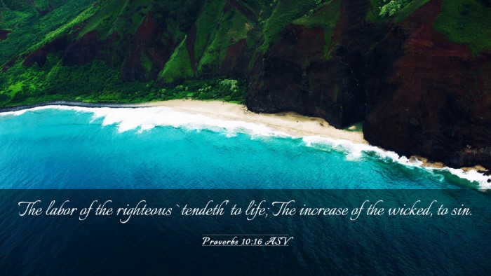 Picture 03 - Proverbs 10:16 ASV Desktop Wallpaper - The labor of the righteous `tendeth' to life; The - Desktop Bible Verse Wallpaper