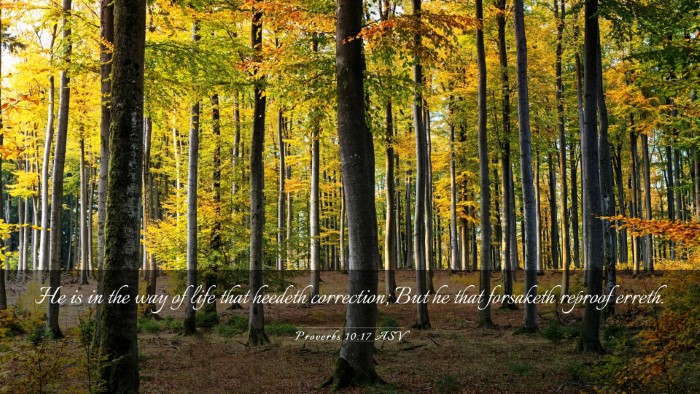 Picture 03 - Proverbs 10:17 ASV Desktop Wallpaper - He is in the way of life that heedeth correction; - Desktop Bible Verse Wallpaper