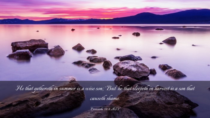 Picture 03 - Proverbs 10:5 ASV Desktop Wallpaper - He that gathereth in summer is a wise son; `But' - Desktop Bible Verse Wallpaper