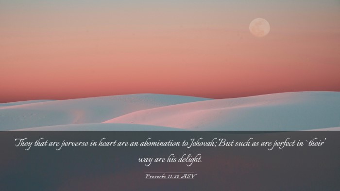 Picture 03 - Proverbs 11:20 ASV Desktop Wallpaper - They that are perverse in heart are an - Desktop Bible Verse Wallpaper