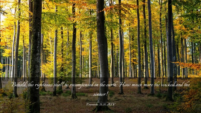 Picture 03 - Proverbs 11:31 ASV Desktop Wallpaper - Behold, the righteous shall be recompensed in the - Desktop Bible Verse Wallpaper