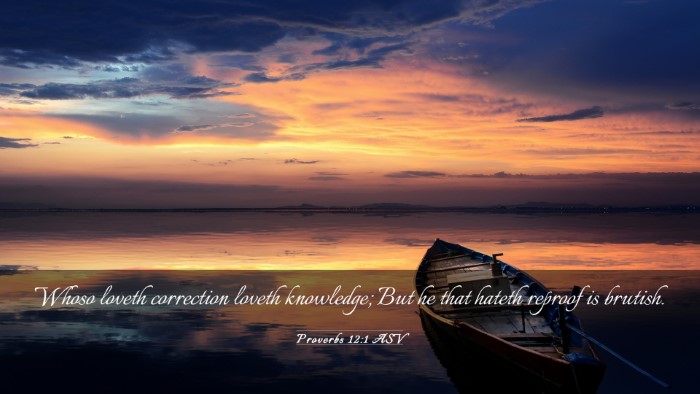 Picture 03 - Proverbs 12:1 ASV Desktop Wallpaper - Whoso loveth correction loveth knowledge; But he - Desktop Bible Verse Wallpaper