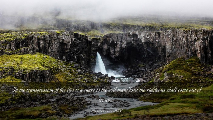 Picture 03 - Proverbs 12:13 ASV Desktop Wallpaper - In the transgression of the lips is a snare to - Desktop Bible Verse Wallpaper