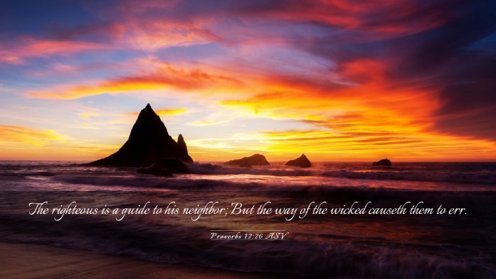 Picture 03 - Proverbs 12:26 ASV Desktop Wallpaper - The righteous is a guide to his neighbor; But the - Desktop Bible Verse Wallpaper