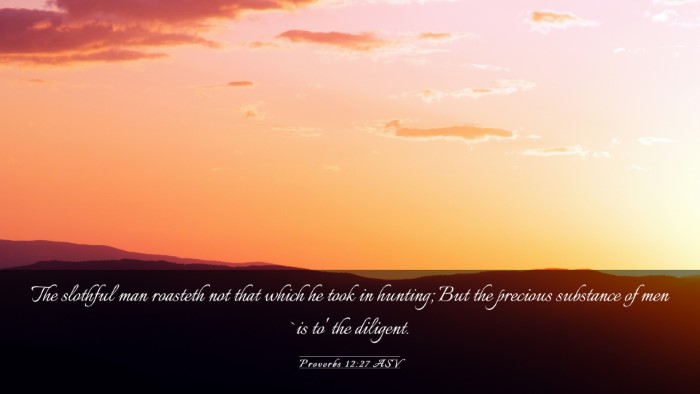 Picture 03 - Proverbs 12:27 ASV Desktop Wallpaper - The slothful man roasteth not that which he took - Desktop Bible Verse Wallpaper