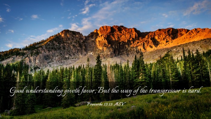Picture 03 - Proverbs 13:15 ASV Desktop Wallpaper - Good understanding giveth favor; But the way of - Desktop Bible Verse Wallpaper