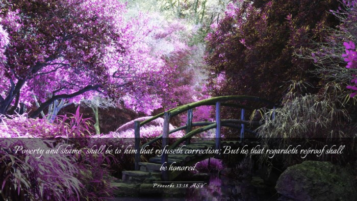 Picture 03 - Proverbs 13:18 ASV Desktop Wallpaper - Poverty and shame `shall be to' him that refuseth - Desktop Bible Verse Wallpaper
