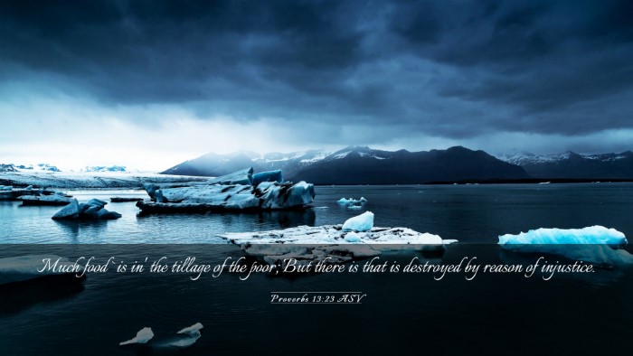 Picture 03 - Proverbs 13:23 ASV Desktop Wallpaper - Much food `is in' the tillage of the poor; But - Desktop Bible Verse Wallpaper