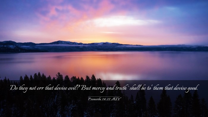Picture 03 - Proverbs 14:22 ASV Desktop Wallpaper - Do they not err that devise evil? But mercy and - Desktop Bible Verse Wallpaper