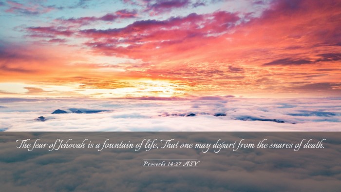 Picture 03 - Proverbs 14:27 ASV Desktop Wallpaper - The fear of Jehovah is a fountain of life, That - Desktop Bible Verse Wallpaper