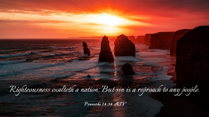 Picture 03 - Proverbs 14:34 ASV Desktop Wallpaper - Righteousness exalteth a nation; But sin is a - Desktop Bible Verse Wallpaper