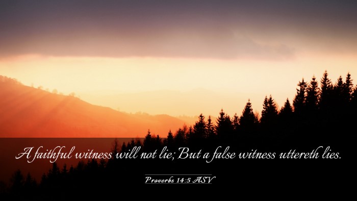 Picture 03 - Proverbs 14:5 ASV Desktop Wallpaper - A faithful witness will not lie; But a false - Desktop Bible Verse Wallpaper
