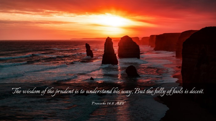 Picture 03 - Proverbs 14:8 ASV Desktop Wallpaper - The wisdom of the prudent is to understand his - Desktop Bible Verse Wallpaper