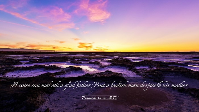 Picture 03 - Proverbs 15:20 ASV Desktop Wallpaper - A wise son maketh a glad father; But a foolish - Desktop Bible Verse Wallpaper