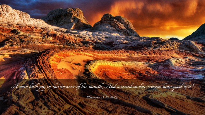 Picture 03 - Proverbs 15:23 ASV Desktop Wallpaper - A man hath joy in the answer of his mouth; And a - Desktop Bible Verse Wallpaper