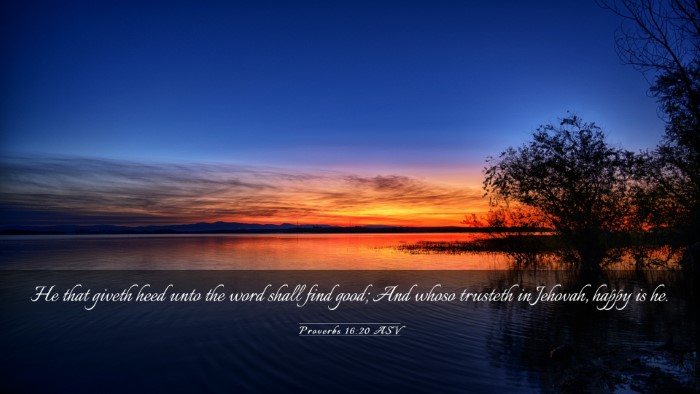 Picture 03 - Proverbs 16:20 ASV Desktop Wallpaper - He that giveth heed unto the word shall find - Desktop Bible Verse Wallpaper