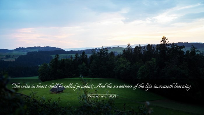 Picture 03 - Proverbs 16:21 ASV Desktop Wallpaper - The wise in heart shall be called prudent; And - Desktop Bible Verse Wallpaper