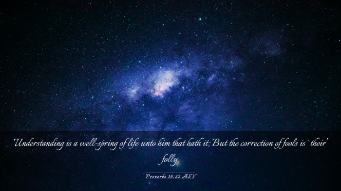 Picture 03 - Proverbs 16:22 ASV Desktop Wallpaper - Understanding is a well-spring of life unto him - Desktop Bible Verse Wallpaper