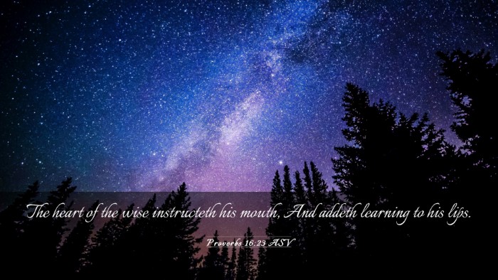 Picture 03 - Proverbs 16:23 ASV Desktop Wallpaper - The heart of the wise instructeth his mouth, And - Desktop Bible Verse Wallpaper