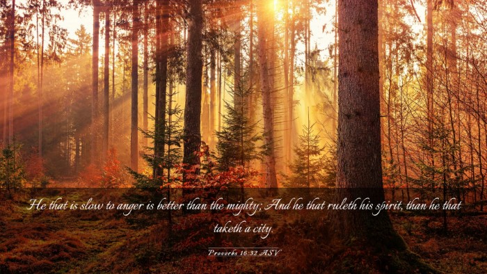 Picture 03 - Proverbs 16:32 ASV Desktop Wallpaper - He that is slow to anger is better than the - Desktop Bible Verse Wallpaper