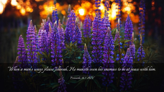 Picture 03 - Proverbs 16:7 ASV Desktop Wallpaper - When a man's ways please Jehovah, He maketh even - Desktop Bible Verse Wallpaper