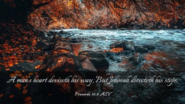 Picture 03 - Proverbs 16:9 ASV Desktop Wallpaper - A man's heart deviseth his way; But Jehovah - Desktop Bible Verse Wallpaper