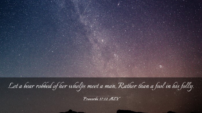 Picture 03 - Proverbs 17:12 ASV Desktop Wallpaper - Let a bear robbed of her whelps meet a man, - Desktop Bible Verse Wallpaper