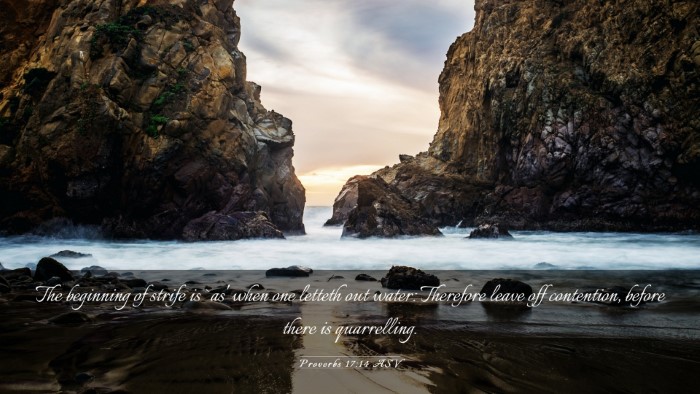 Picture 03 - Proverbs 17:14 ASV Desktop Wallpaper - The beginning of strife is `as' when one letteth - Desktop Bible Verse Wallpaper