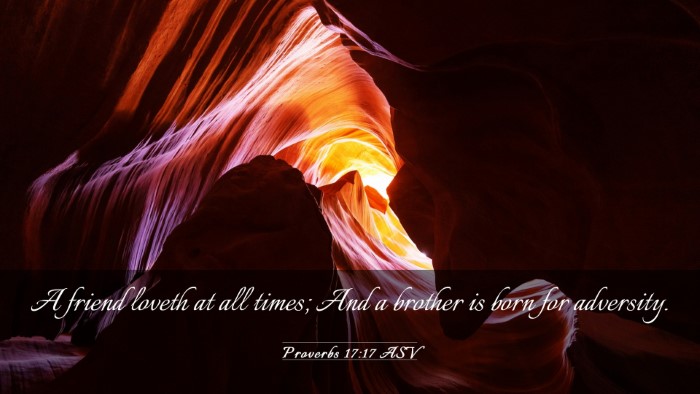 Picture 03 - Proverbs 17:17 ASV Desktop Wallpaper - A friend loveth at all times; And a brother is - Desktop Bible Verse Wallpaper