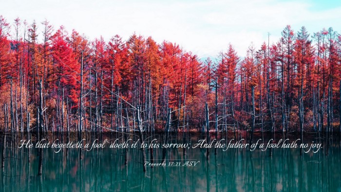 Picture 03 - Proverbs 17:21 ASV Desktop Wallpaper - He that begetteth a fool `doeth it' to his - Desktop Bible Verse Wallpaper