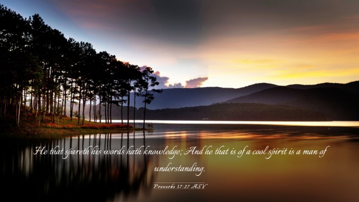 Picture 03 - Proverbs 17:27 ASV Desktop Wallpaper - He that spareth his words hath knowledge; And he - Desktop Bible Verse Wallpaper
