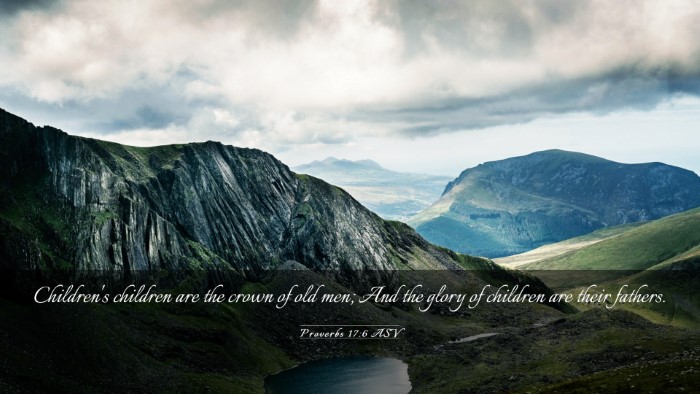 Picture 03 - Proverbs 17:6 ASV Desktop Wallpaper - Children's children are the crown of old men; And - Desktop Bible Verse Wallpaper