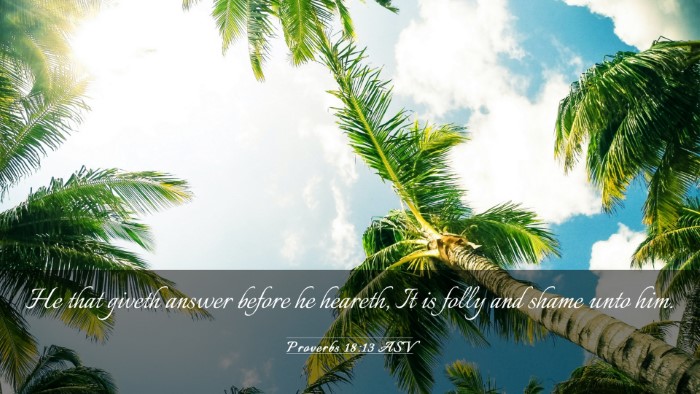 Picture 03 - Proverbs 18:13 ASV Desktop Wallpaper - He that giveth answer before he heareth, It is - Desktop Bible Verse Wallpaper