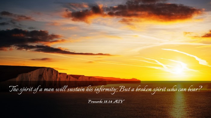 Picture 03 - Proverbs 18:14 ASV Desktop Wallpaper - The spirit of a man will sustain his infirmity; - Desktop Bible Verse Wallpaper