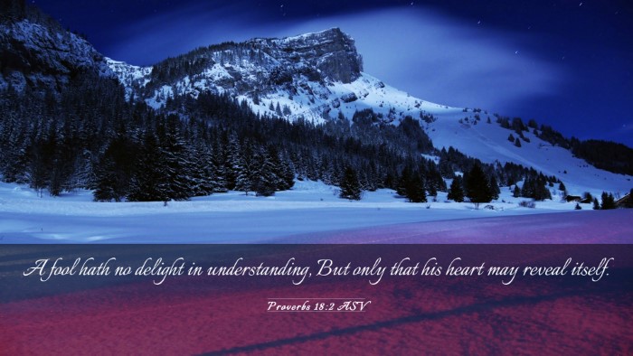 Picture 03 - Proverbs 18:2 ASV Desktop Wallpaper - A fool hath no delight in understanding, But only - Desktop Bible Verse Wallpaper
