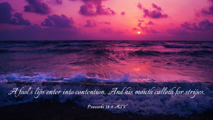 Picture 03 - Proverbs 18:6 ASV Desktop Wallpaper - A fool's lips enter into contention, And his - Desktop Bible Verse Wallpaper