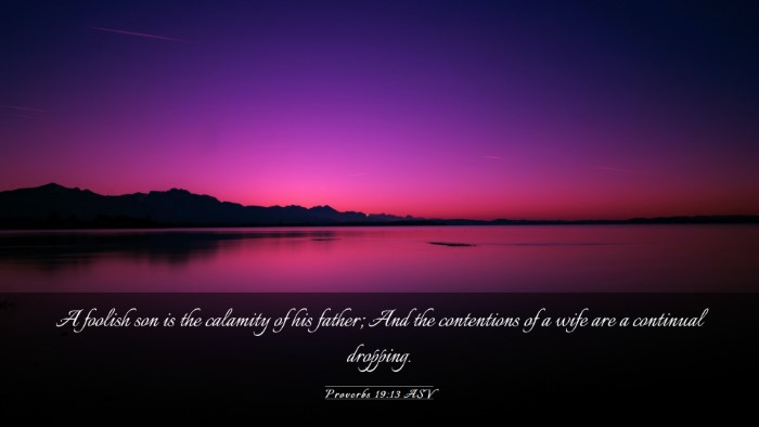 Picture 03 - Proverbs 19:13 ASV Desktop Wallpaper - A foolish son is the calamity of his father; And - Desktop Bible Verse Wallpaper