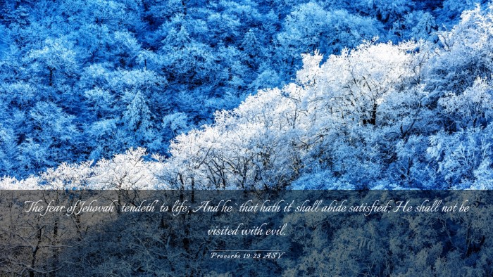 Picture 03 - Proverbs 19:23 ASV Desktop Wallpaper - The fear of Jehovah `tendeth' to life; And he - Desktop Bible Verse Wallpaper