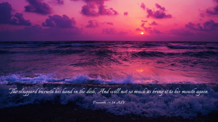 Picture 03 - Proverbs 19:24 ASV Desktop Wallpaper - The sluggard burieth his hand in the dish, And - Desktop Bible Verse Wallpaper
