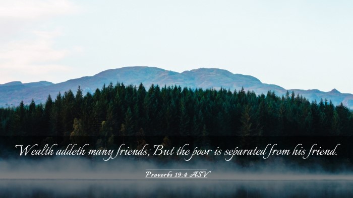 Picture 03 - Proverbs 19:4 ASV Desktop Wallpaper - Wealth addeth many friends; But the poor is - Desktop Bible Verse Wallpaper