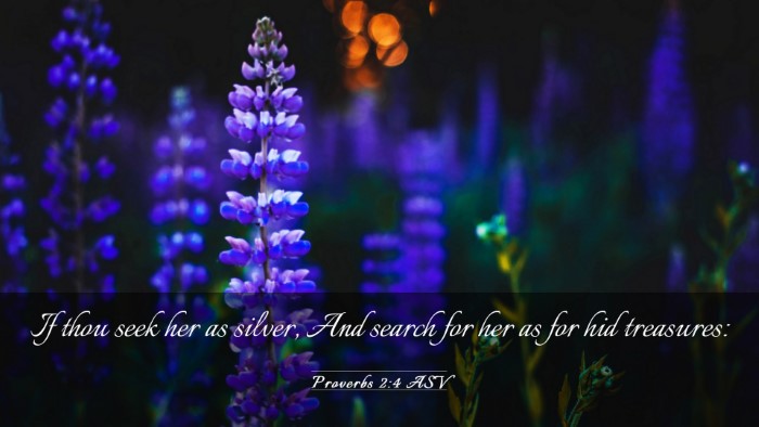 Picture 03 - Proverbs 2:4 ASV Desktop Wallpaper - If thou seek her as silver, And search for her as - Desktop Bible Verse Wallpaper